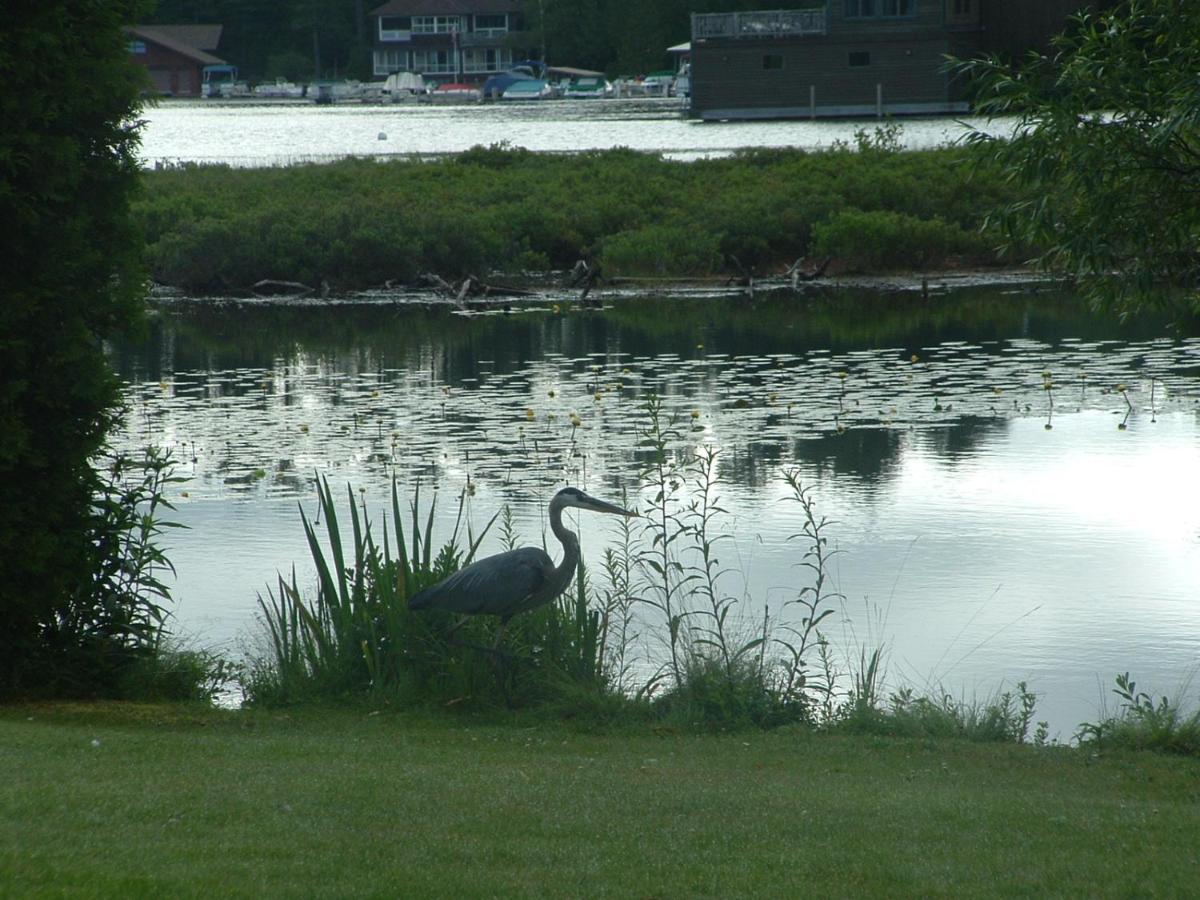 Wildwood On The Lake Lake Placid Kültér fotó